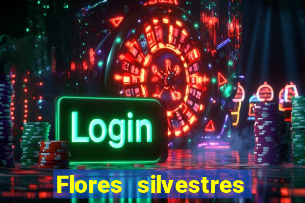 Flores silvestres brasileiras brasileiras flores silvestres nomes e imagens